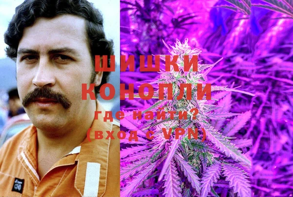 индика Медногорск
