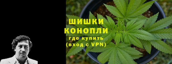 индика Медногорск