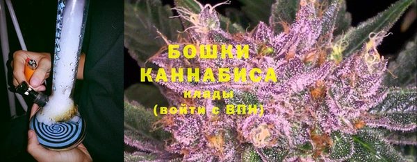 индика Медногорск
