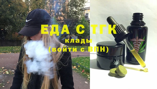 индика Медногорск