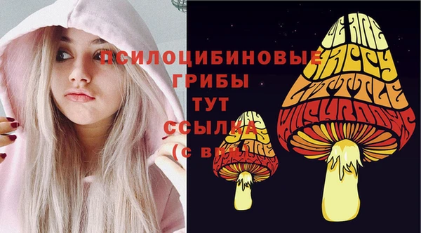 индика Медногорск