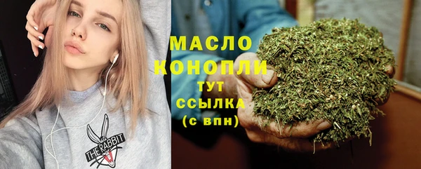 индика Медногорск