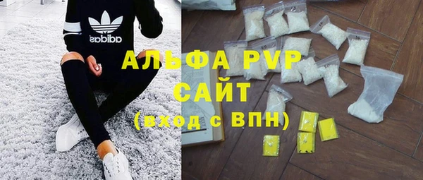 индика Медногорск