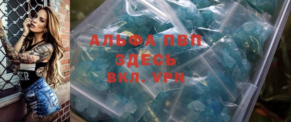 индика Медногорск