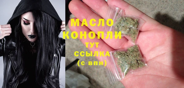 индика Медногорск