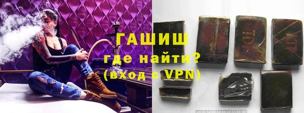 индика Медногорск